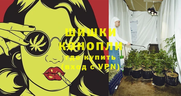 сатива Щигры