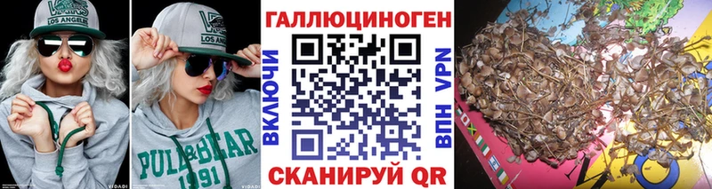 MEGA как зайти  Переславль-Залесский  площадка клад  Псилоцибиновые грибы мухоморы 