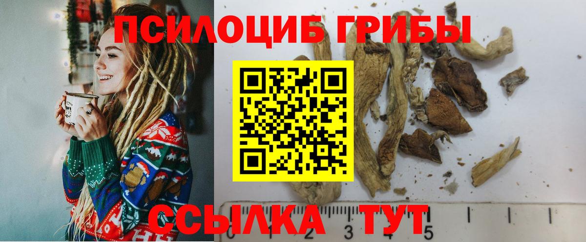 Галлюциногенные грибы GOLDEN TEACHER  Переславль-Залесский 